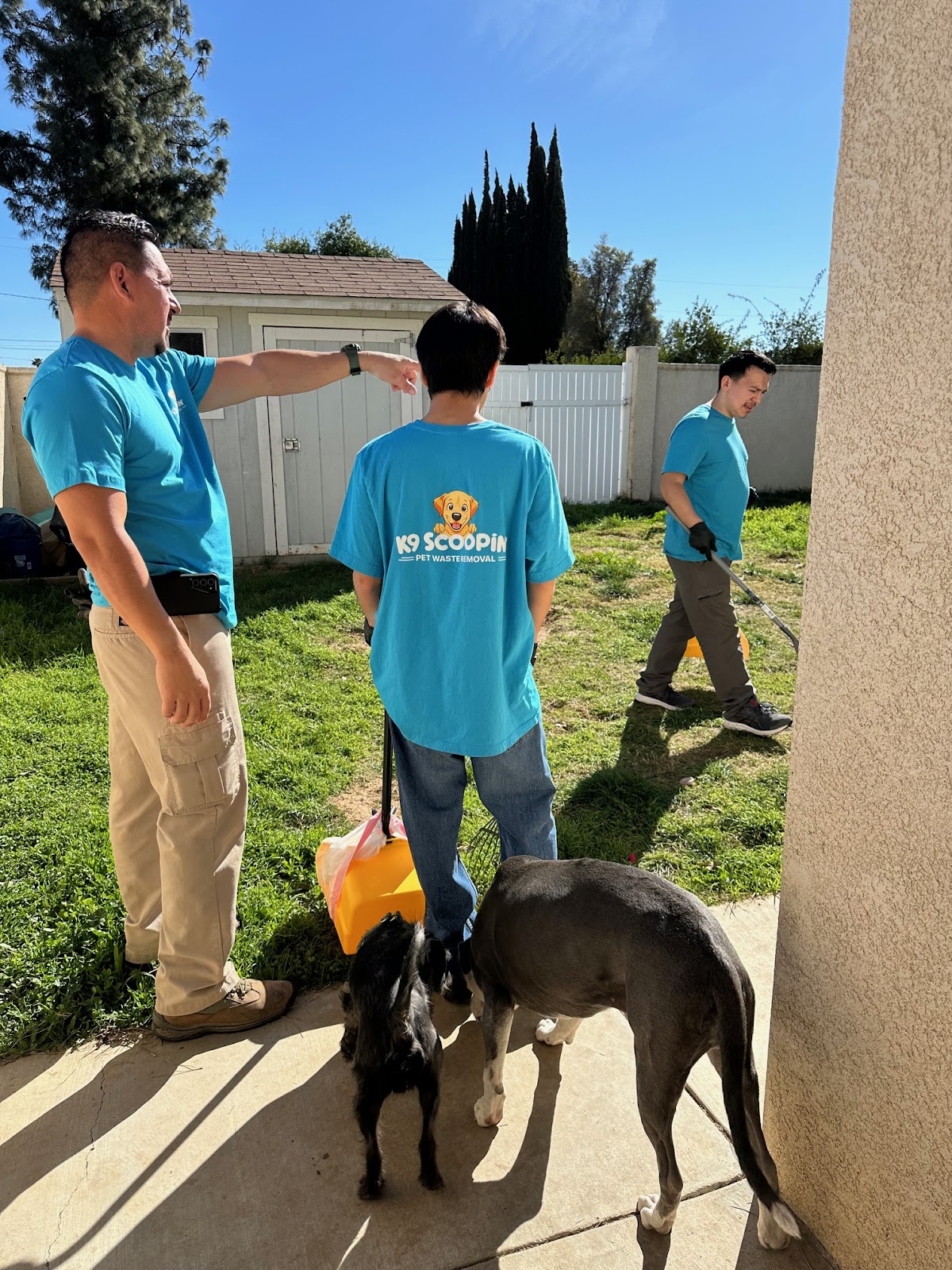 K9 Scoopin' - Photo 3