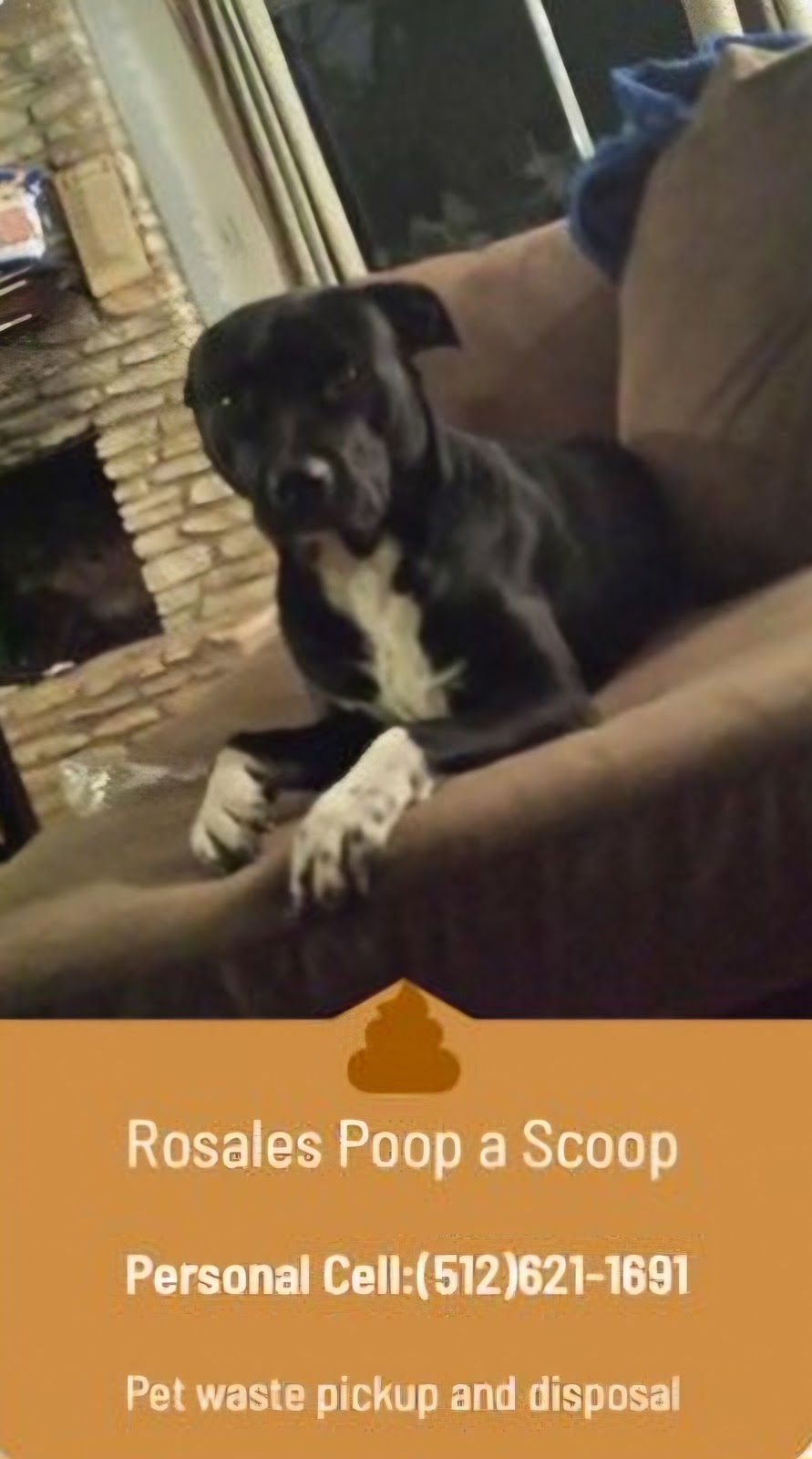 Rosales Poop-A-Scoop - Photo 2