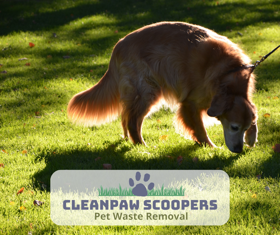 CleanPaw Scoopers - Photo 2