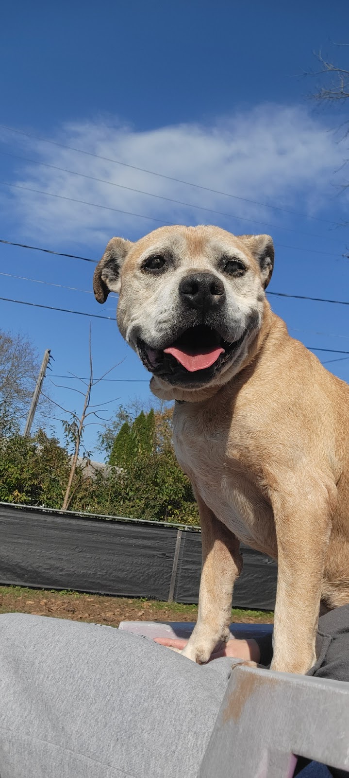 Poop'n Scoop'n - Photo 3