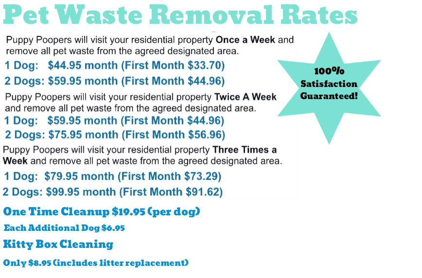 Puppy Poopers - Photo 4