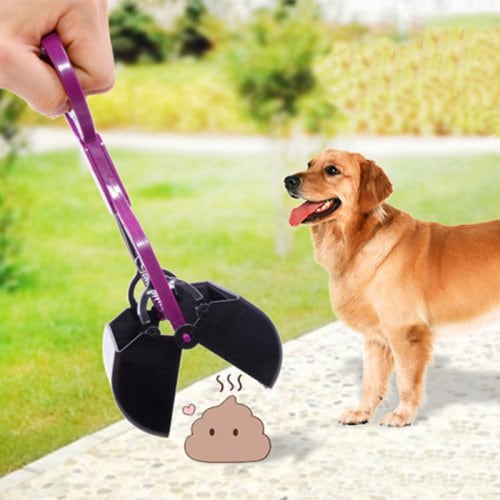 Oh Crap NC - Raleigh Pooper Scooper