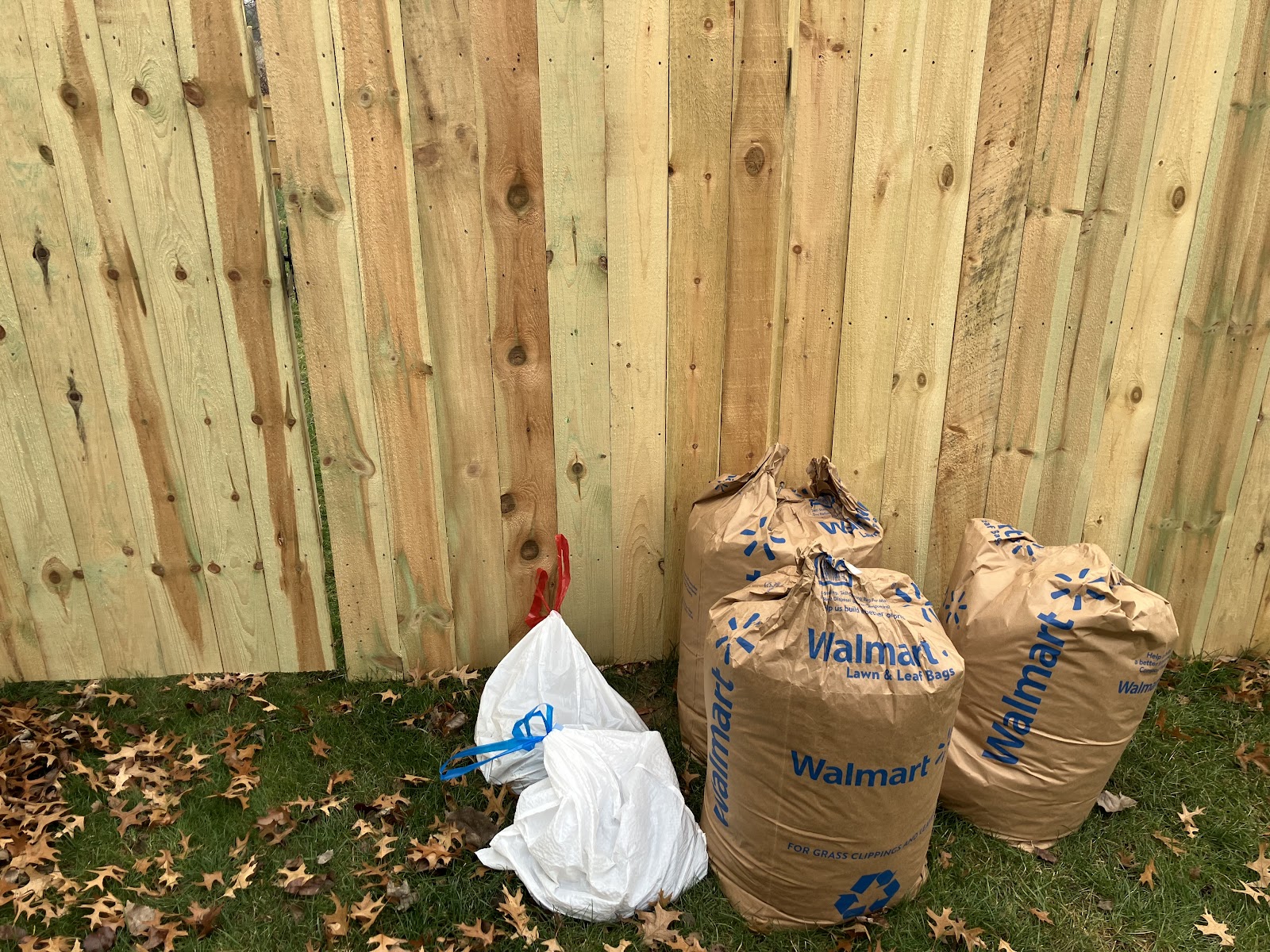 Paw-sitive Poop Removal