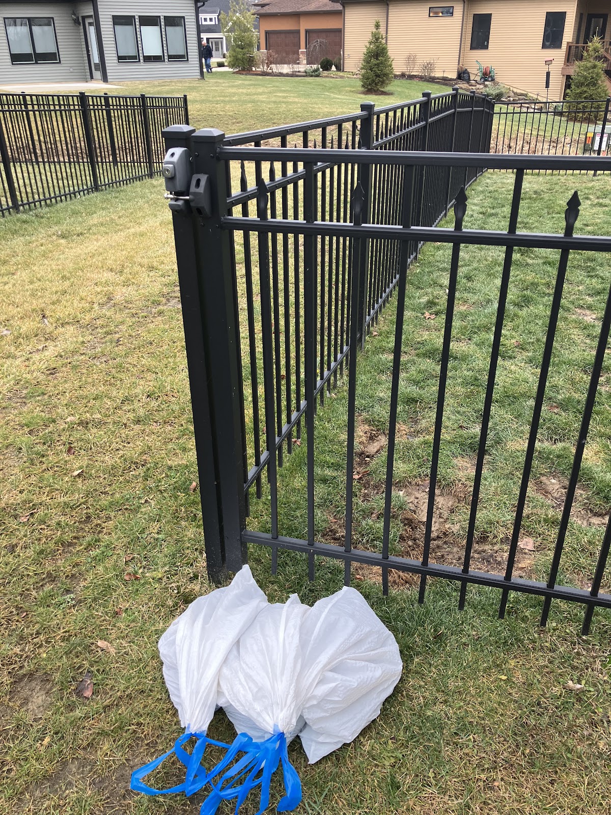 Paw-sitive Poop Removal - Photo 3