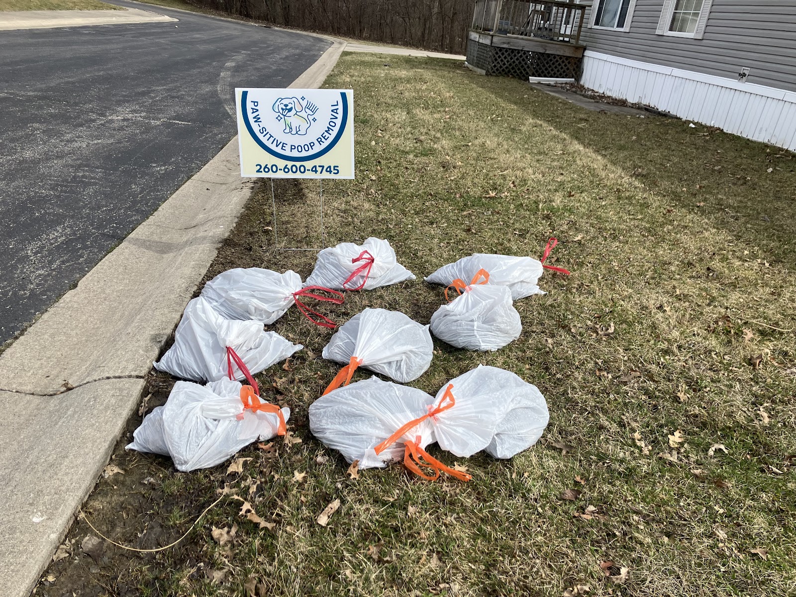 Paw-sitive Poop Removal - Photo 4