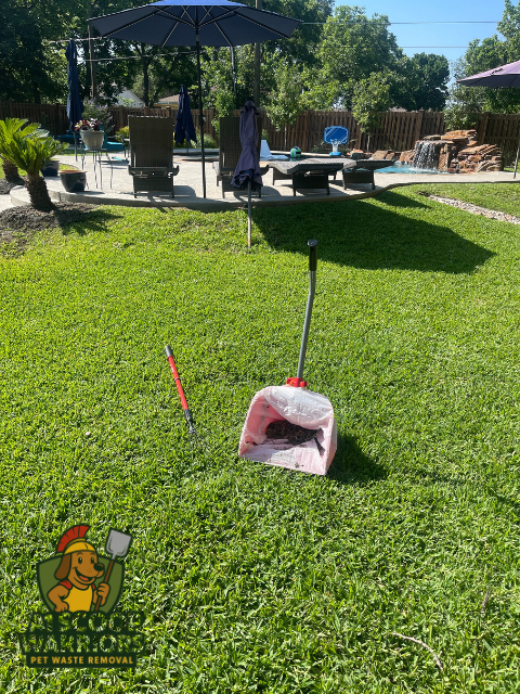 A1 Scoop Warriors - Photo 2