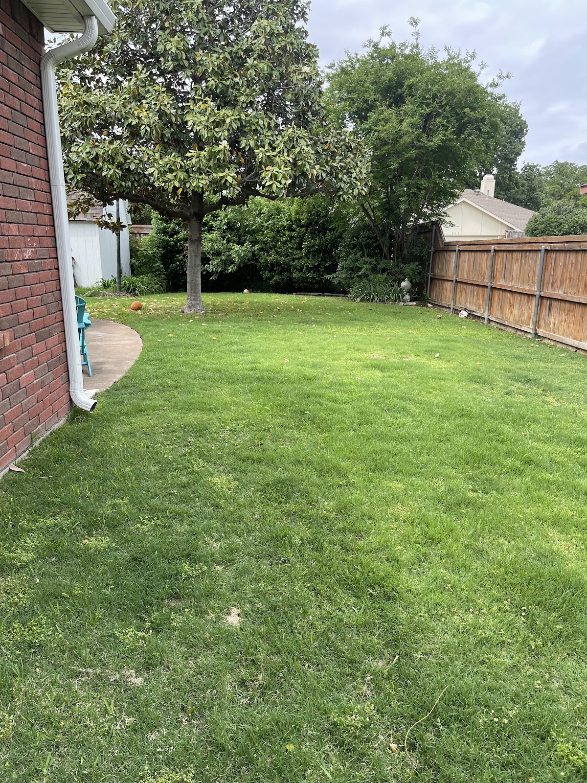 A1 Scoop Warriors - Photo 3