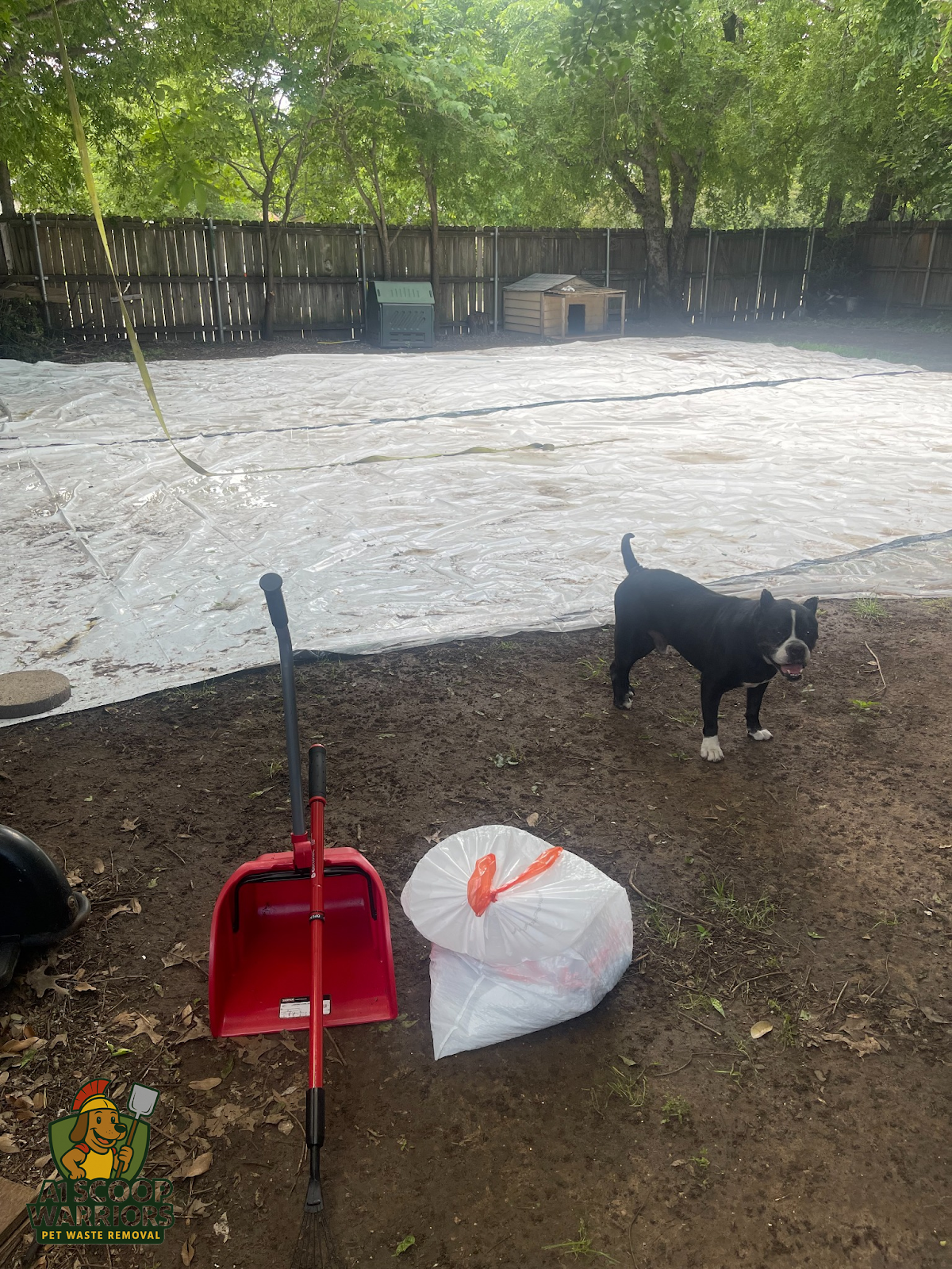 A1 Scoop Warriors - Photo 4