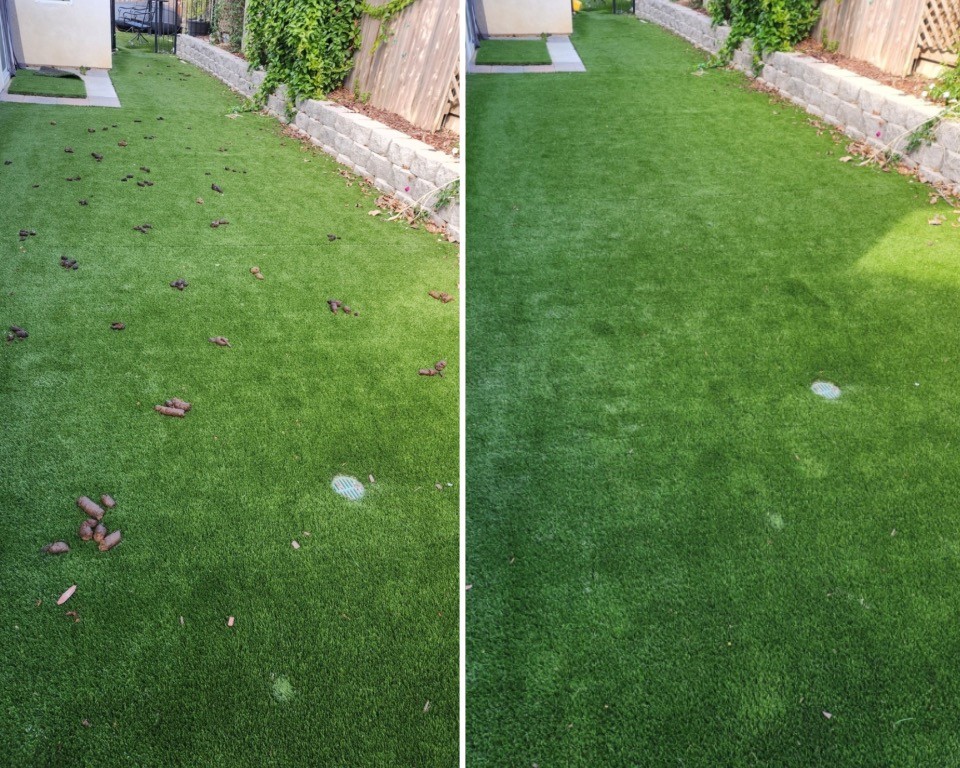 Stars & Scoops - Photo 2