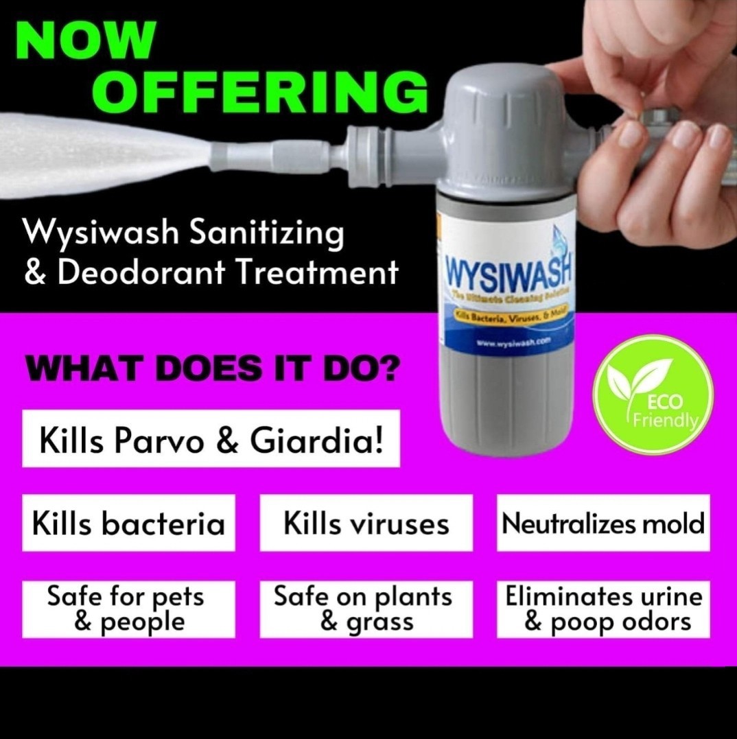 Stars & Scoops - Photo 3