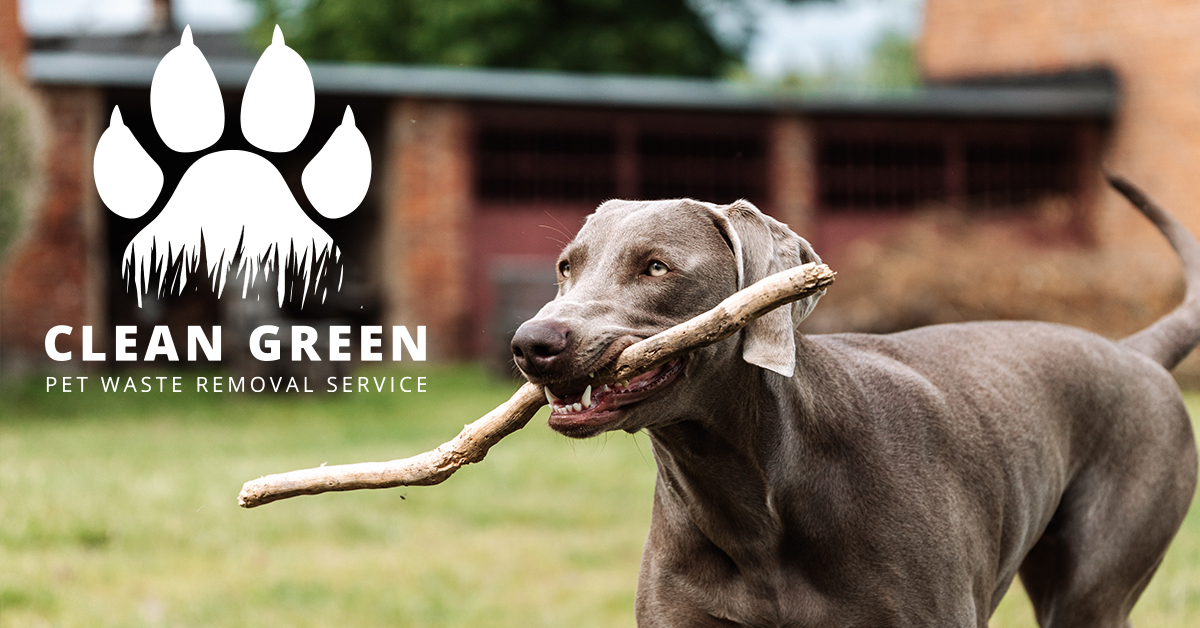 Clean Green - Pet Waste Removal - Photo 3