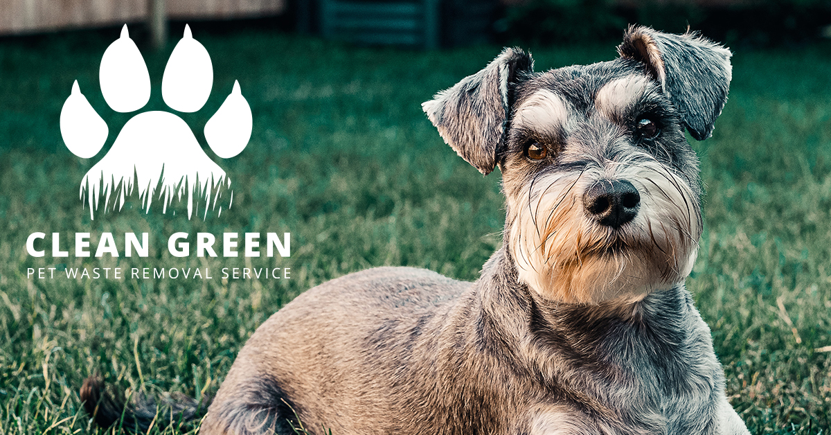 Clean Green - Pet Waste Removal - Photo 4