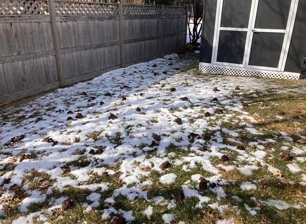 Urban Landmines, LLC.