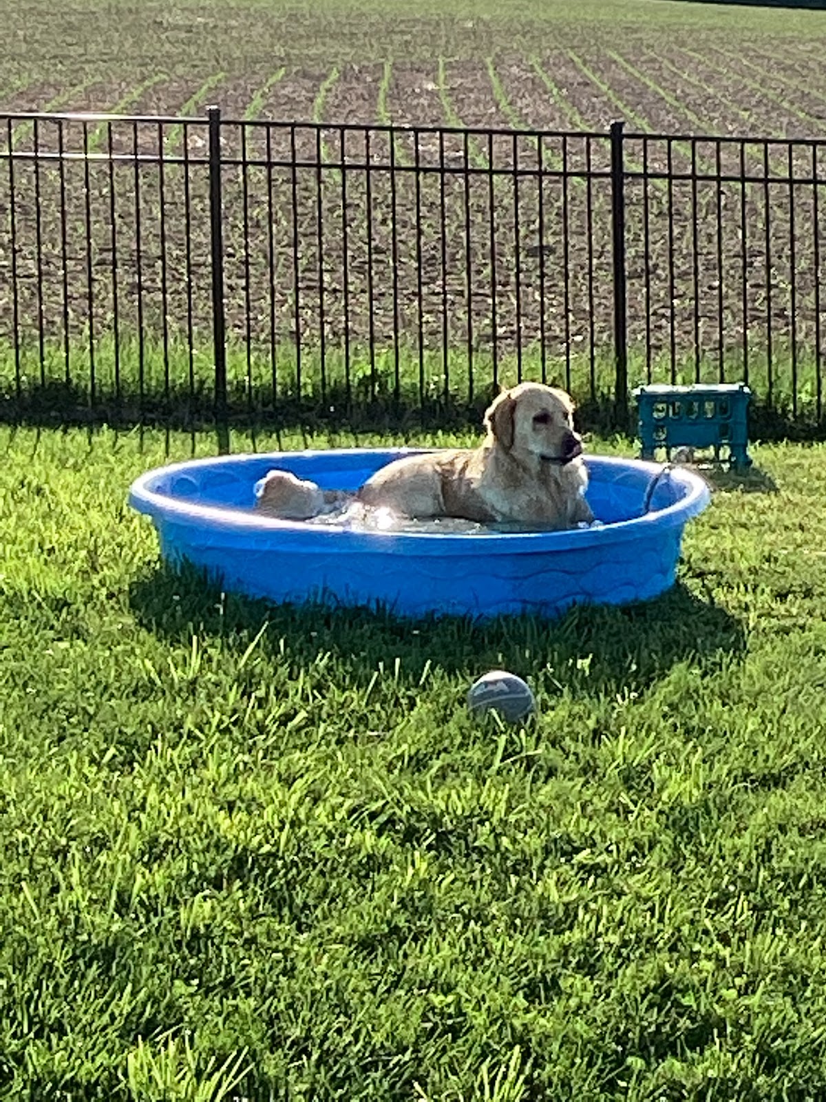 Urban Landmines, LLC. - Photo 2