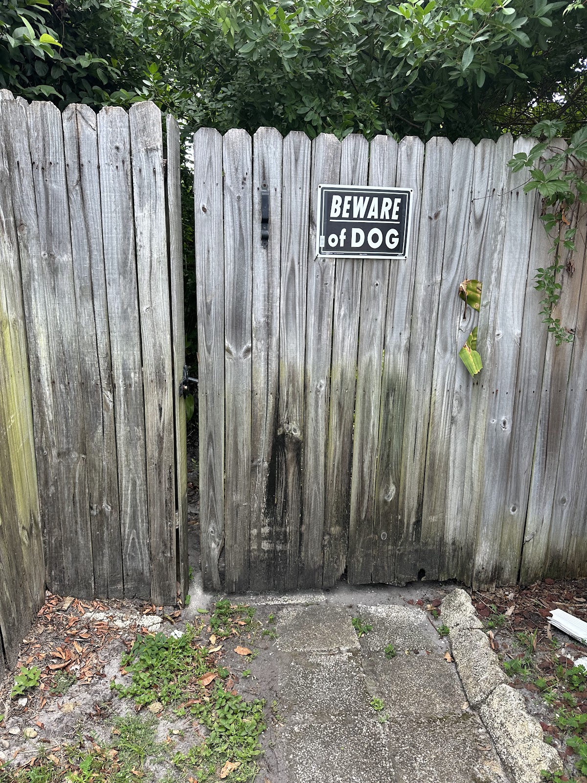 Mad Beach Pet Waste Co. - Photo 3