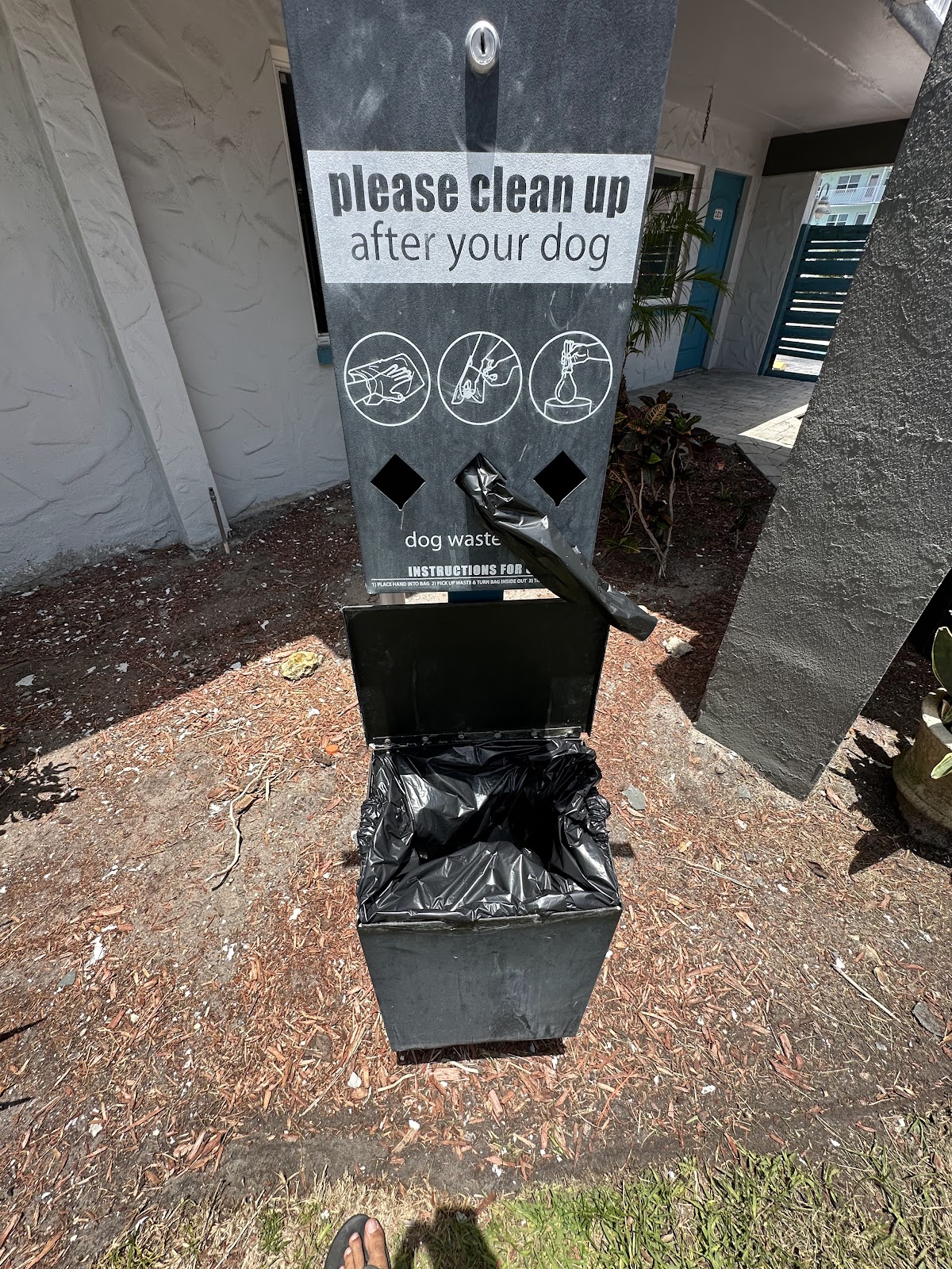 Mad Beach Pet Waste Co. - Photo 4