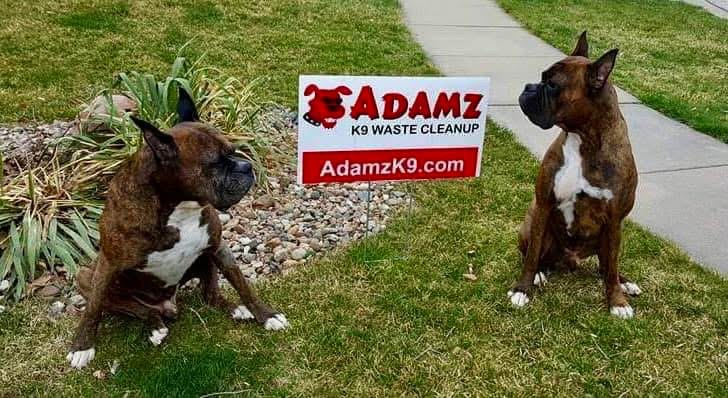 Adamz K9 Waste Cleanup - Photo 4