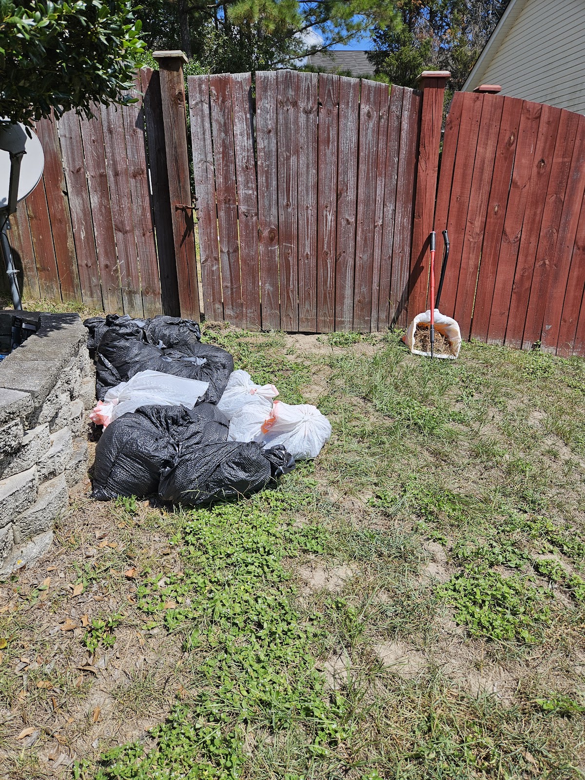 Palmetto Scoopers – Pet Waste Removal Columbia SC - Photo 4