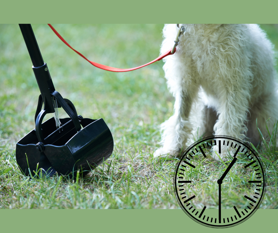 Tidy Tail Scoopers - Photo 2