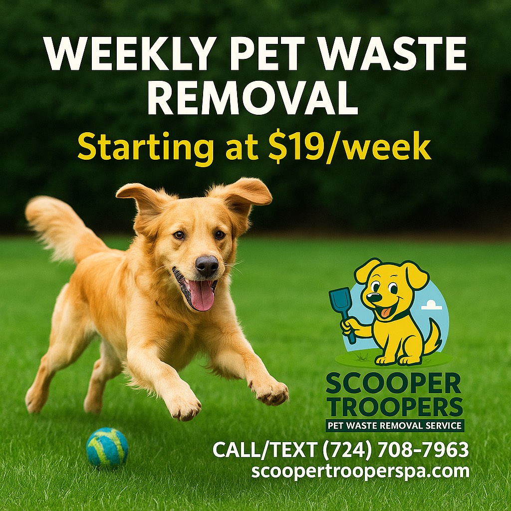 Scooper Troopers - Photo 4