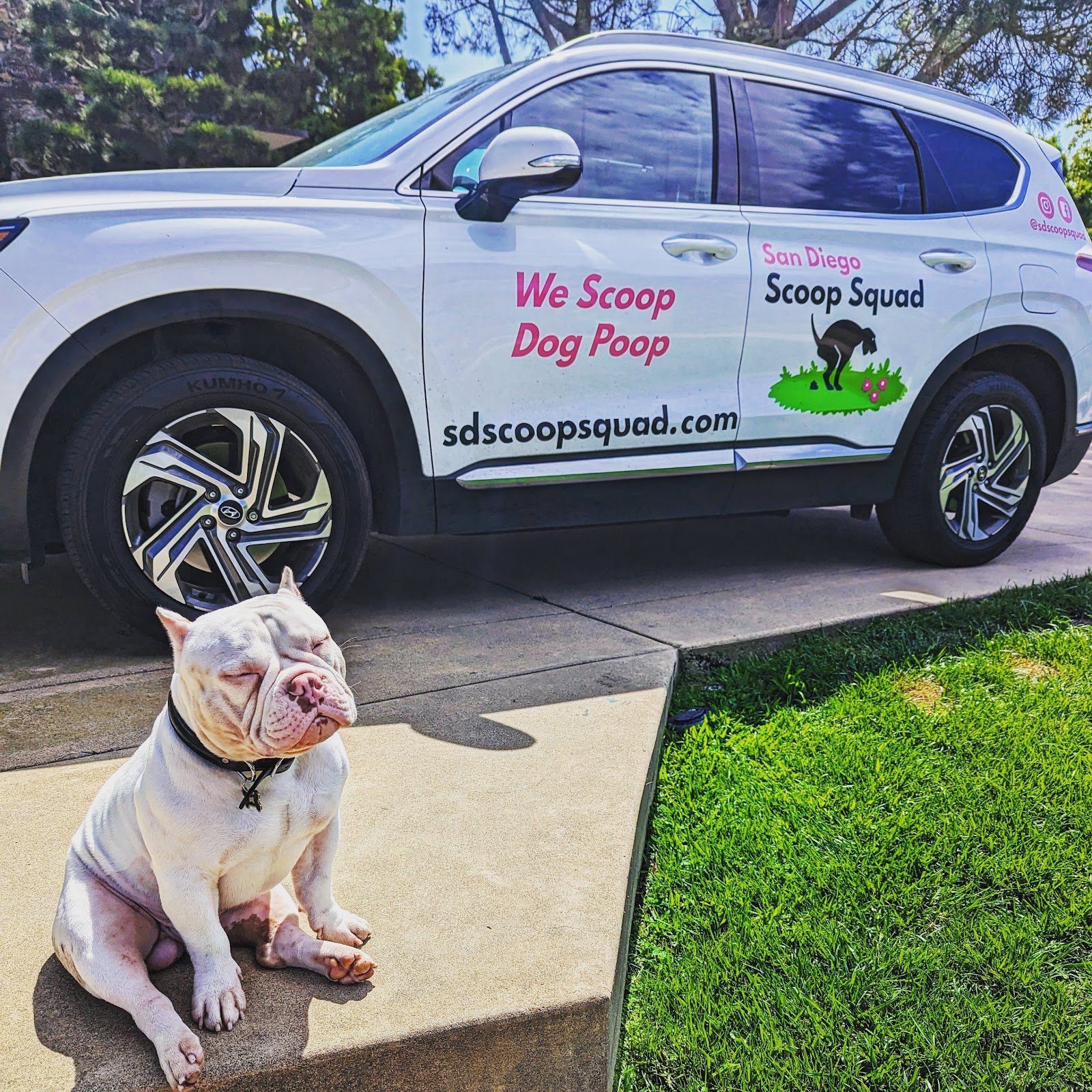 San Diego Scoop Squad, LLC - Photo 2