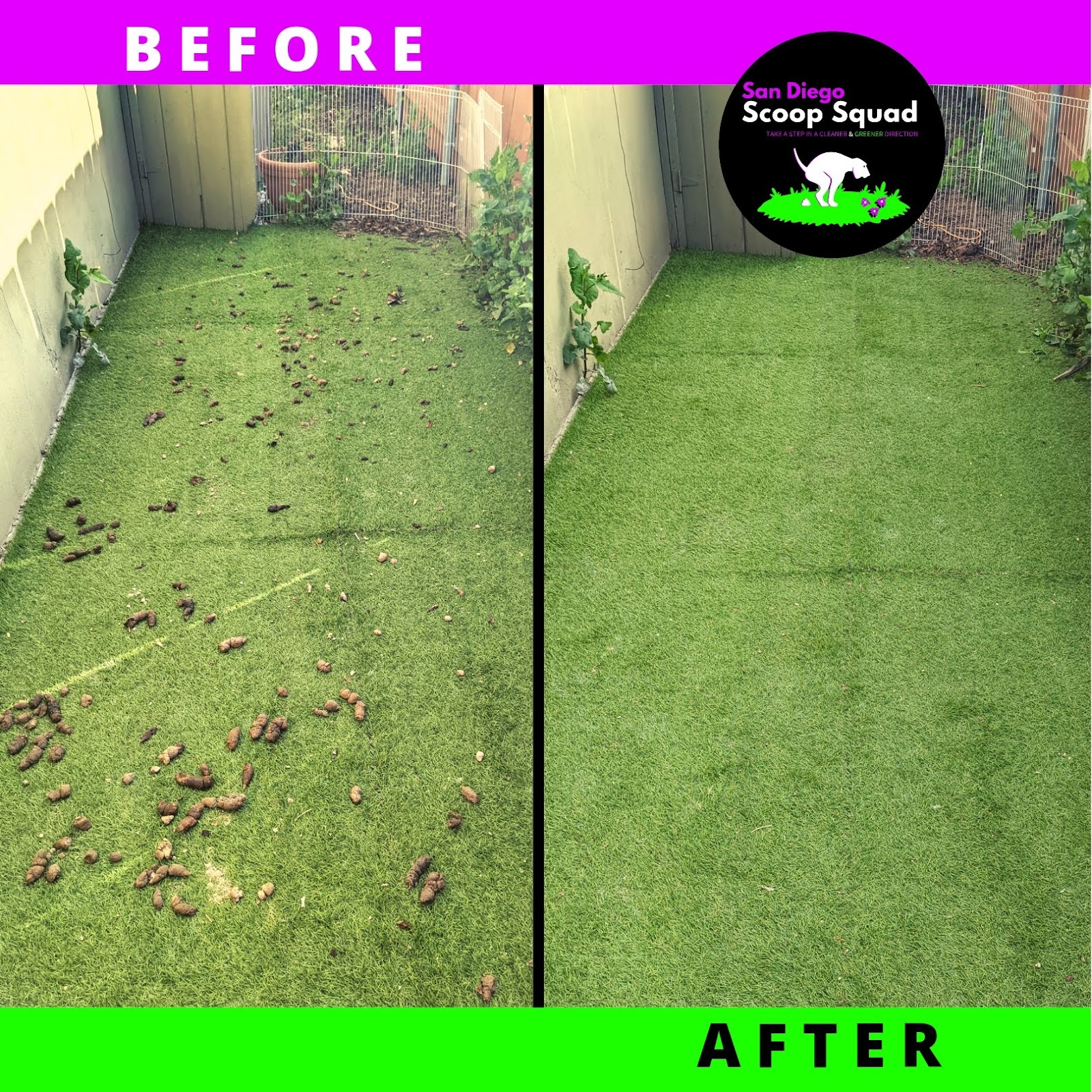 San Diego Scoop Squad, LLC - Photo 3