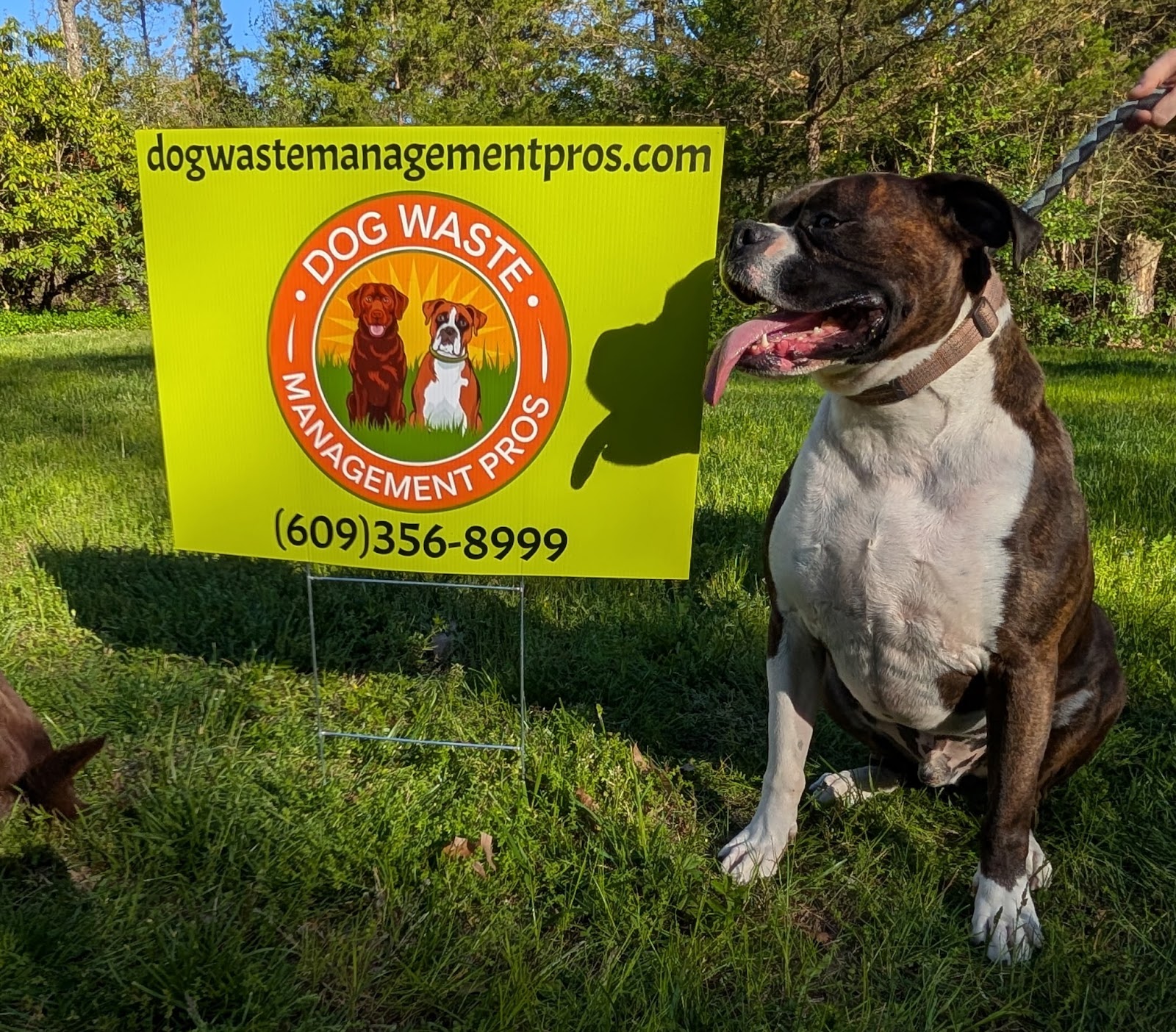 Dog Waste Management Pros - Photo 3