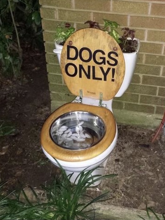 They Poop We Scoop - Photo 4