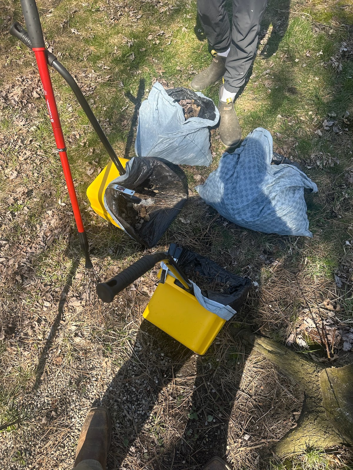 Doo Defenders - Pooper Scooper Service in Grand Rapids & West Michigan - Photo 4