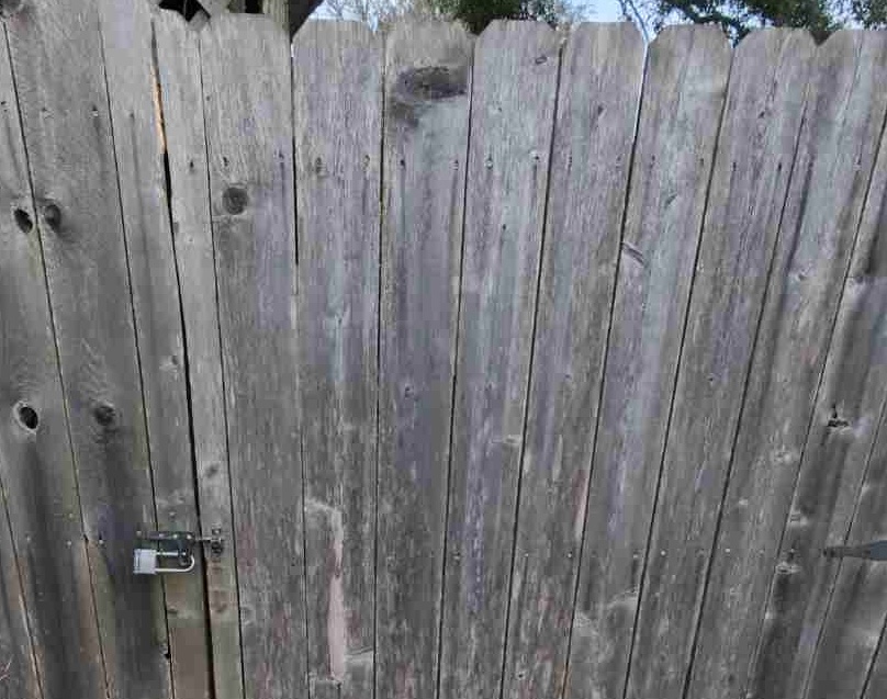 Pawfect Poop Removal - Photo 3