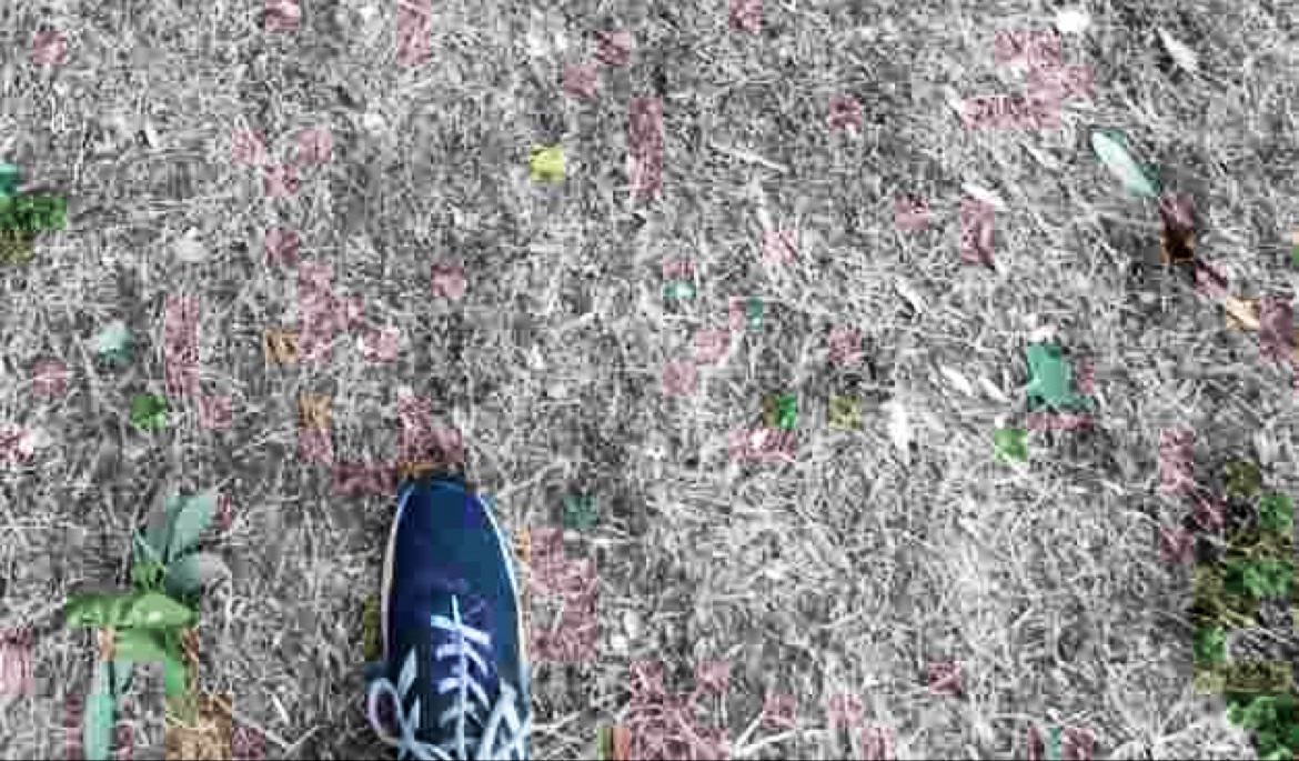 Pawfect Poop Removal - Photo 4