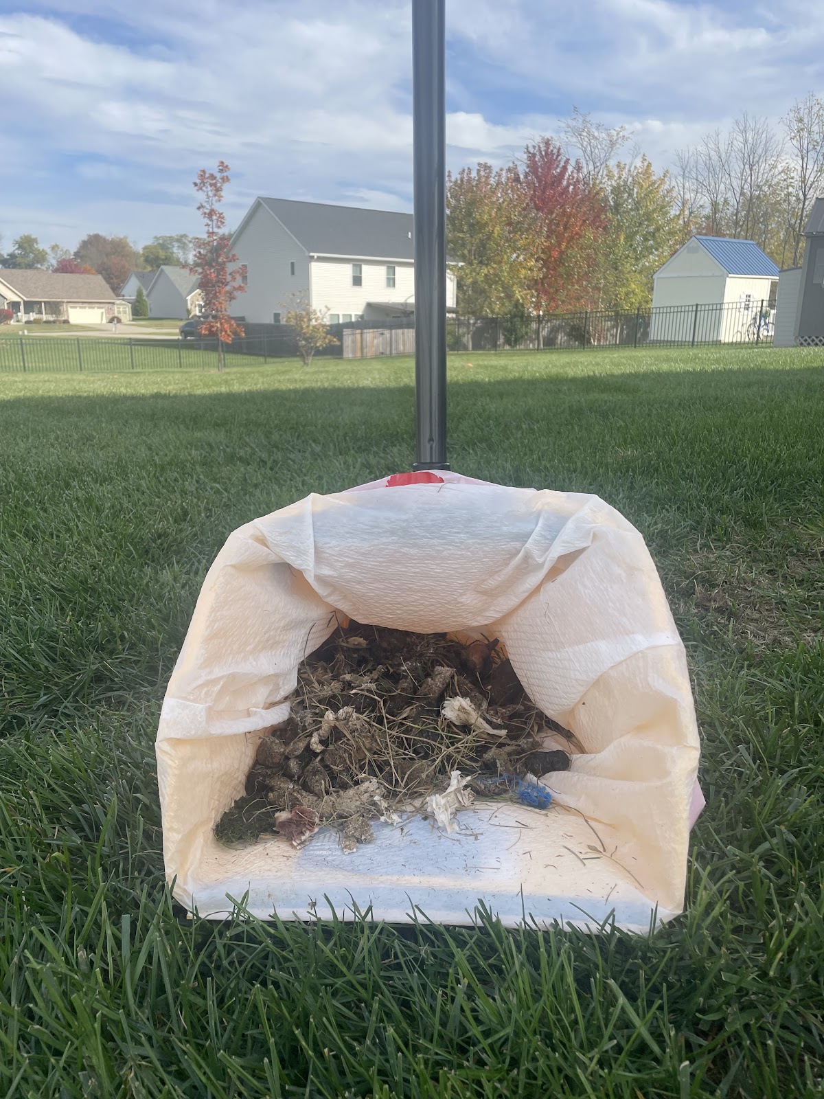 Fast Scoop Pet Waste Removal