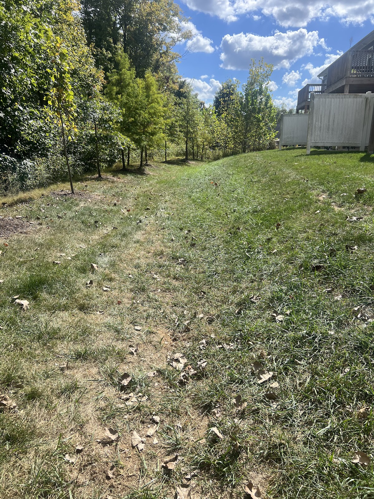 Fast Scoop Pet Waste Removal - Photo 3