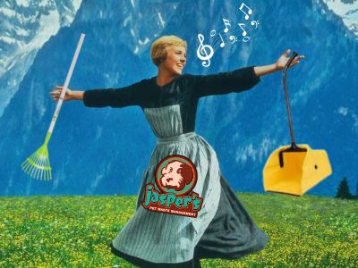 Jasper's Pet Waste Management (Dog Poop Scooping Service) - Photo 4