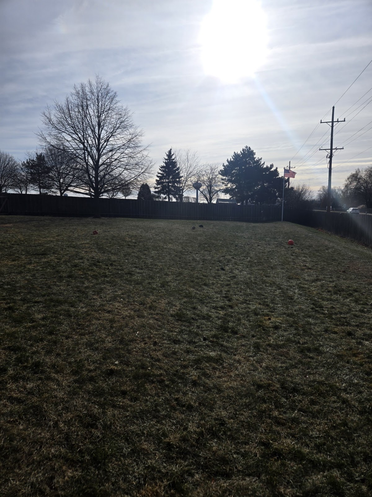 Poos The Boss Addison Dog Waste Removal Service - Photo 4