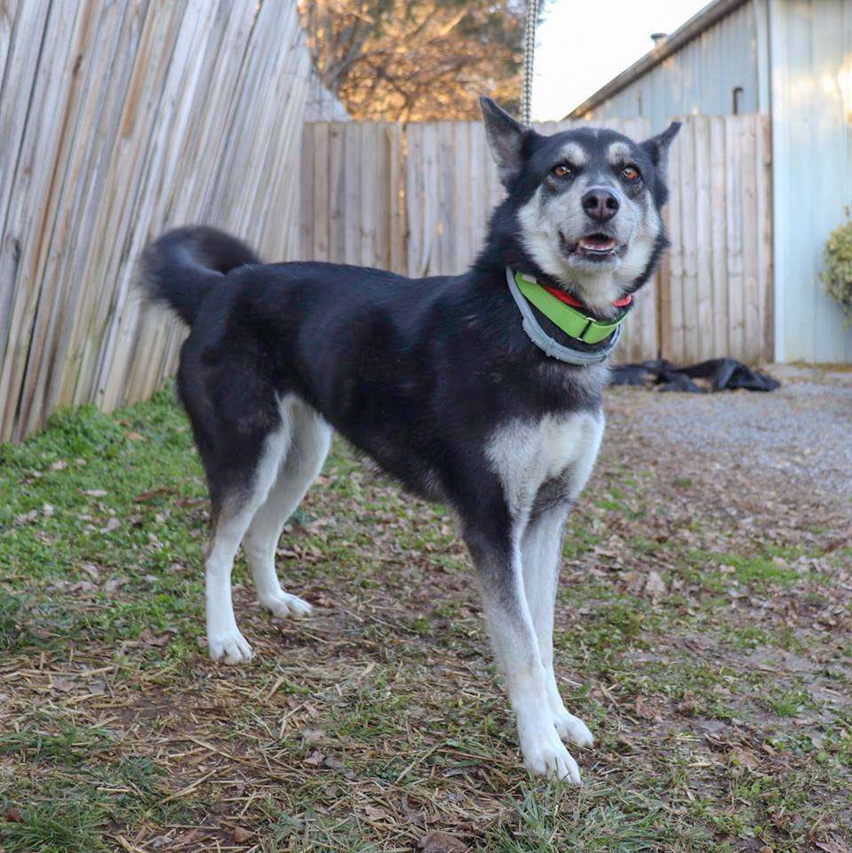 Poo Poo We Do - Photo 3