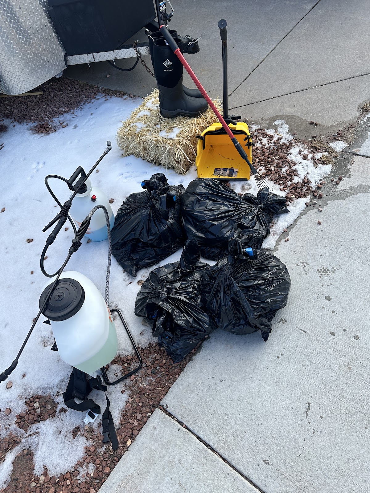 Mile High Scoopers - Photo 2