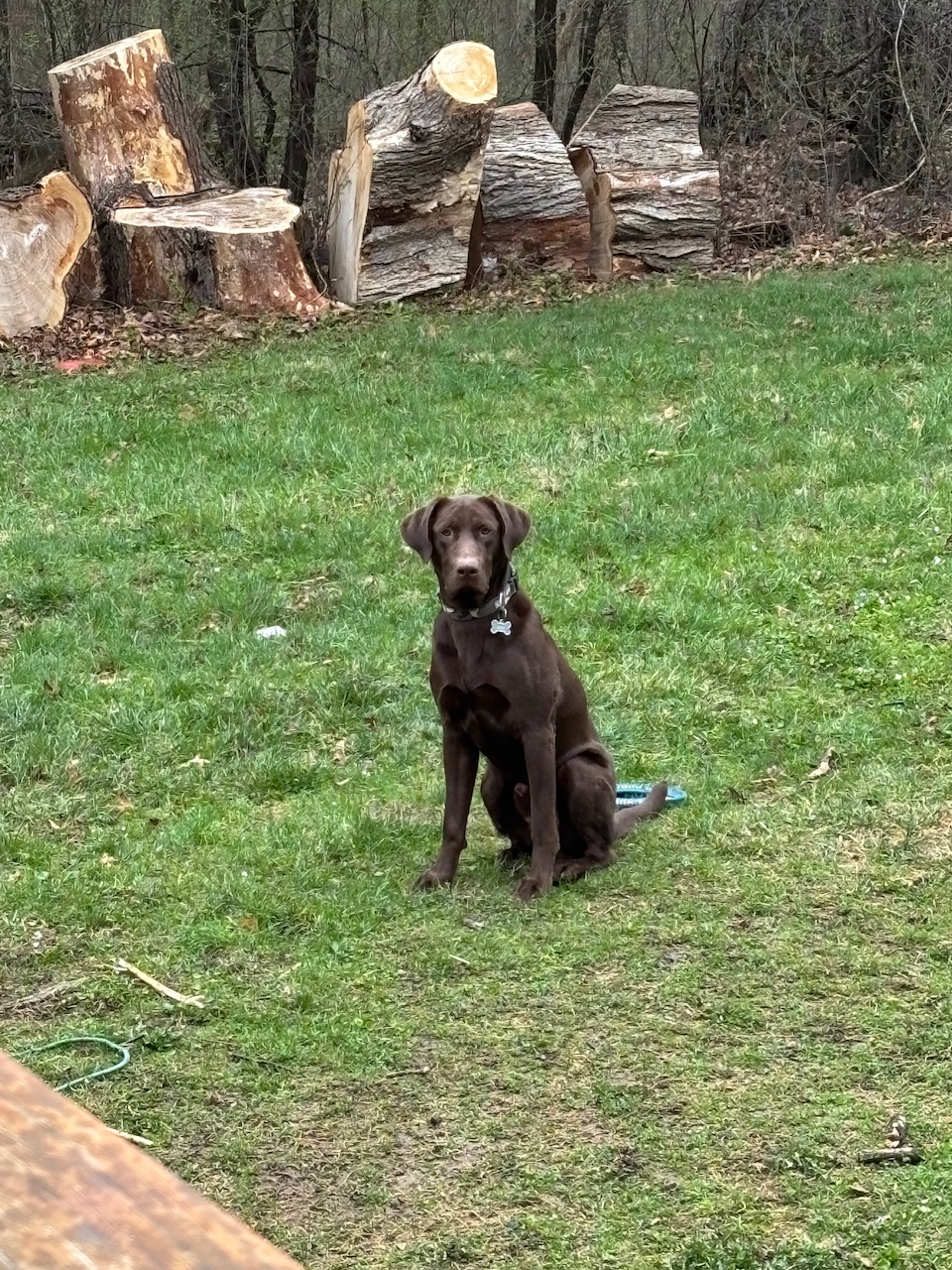 The Poop Guyz - Photo 3