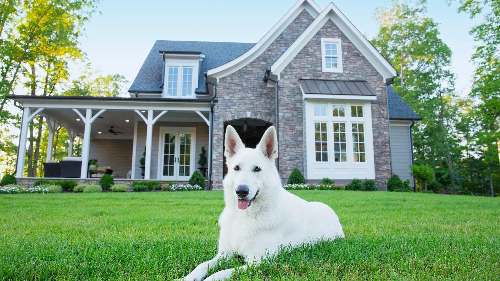 Deputy Dog Poop Patrol