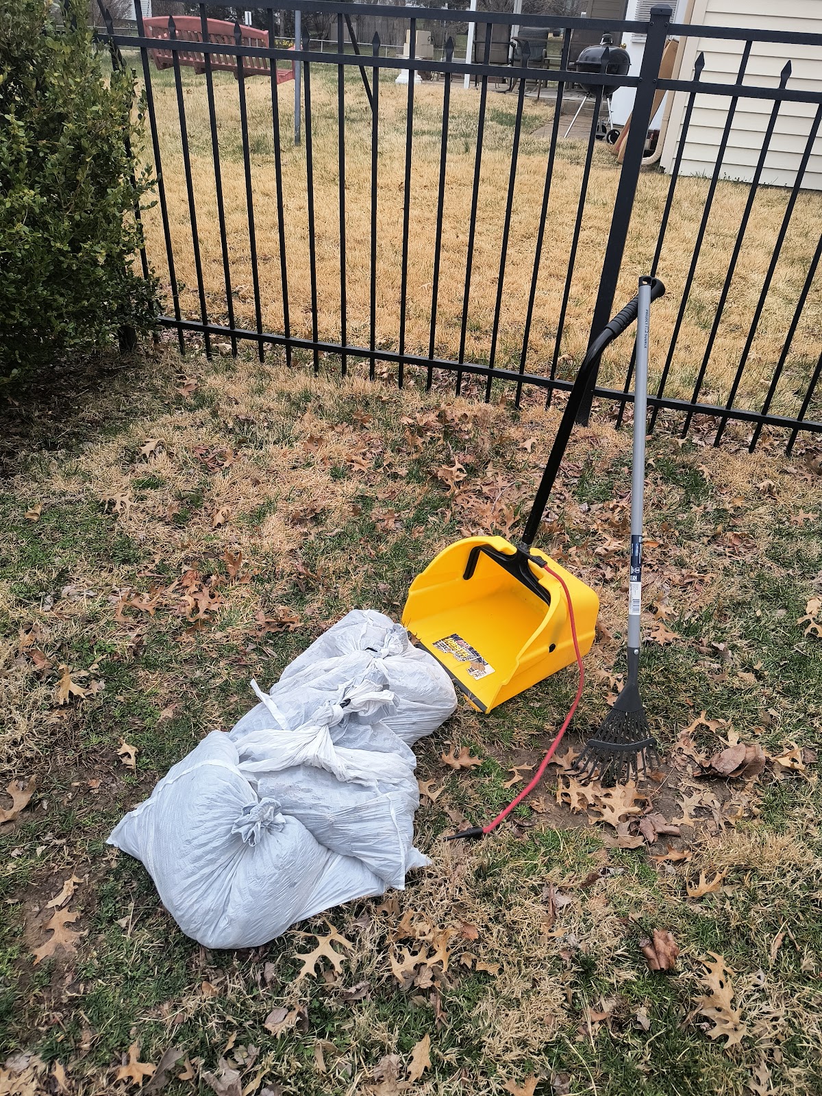 Dr. Scoops Pet Waste Removal