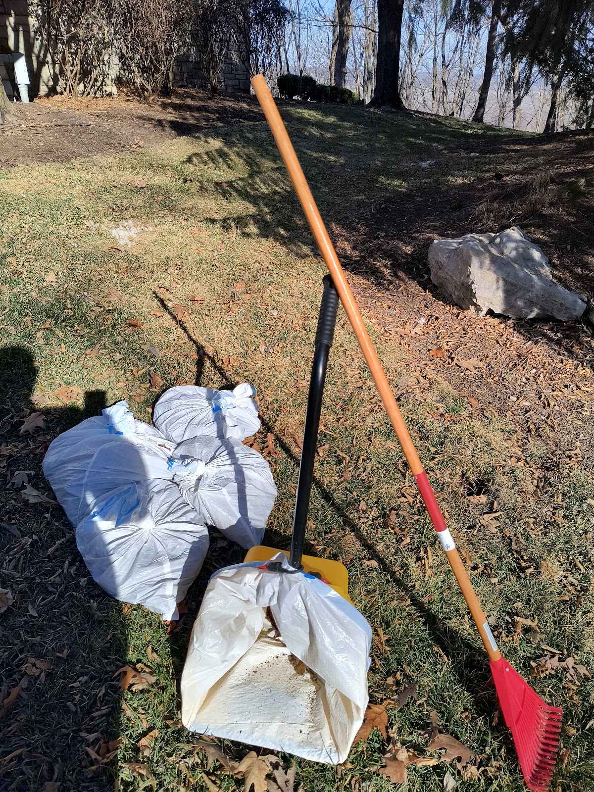 Dr. Scoops Pet Waste Removal - Photo 3