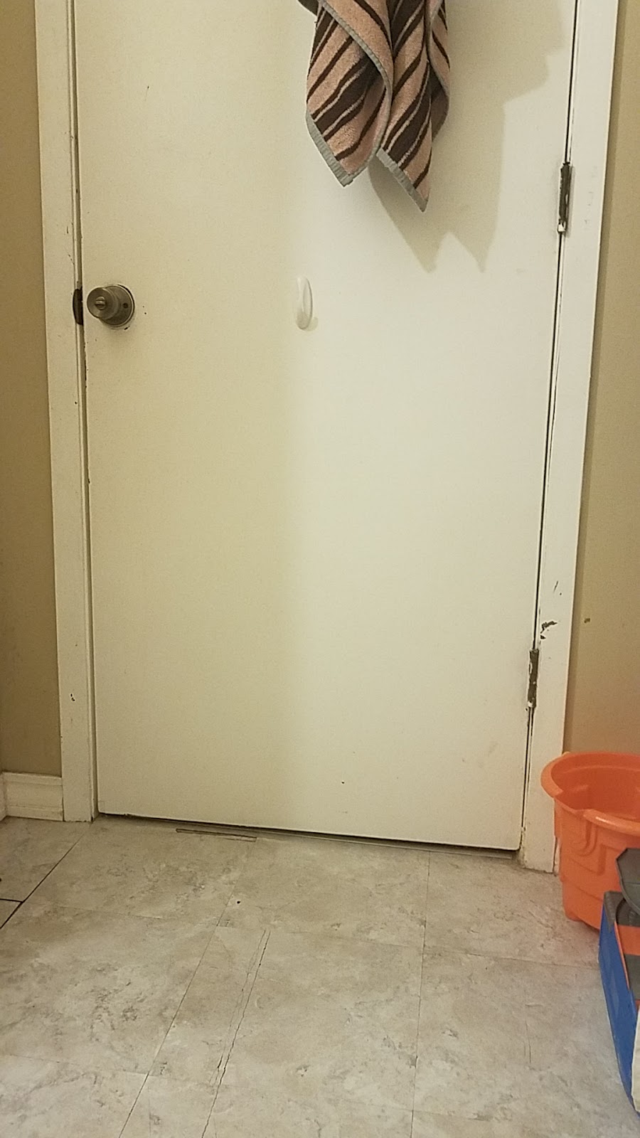 EntreMANURE Pet Waste Removal - Photo 2