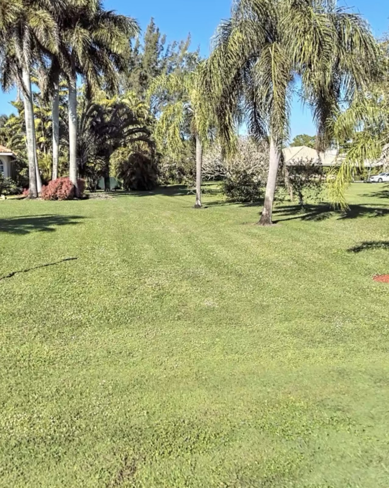 Number 2 Crew - Dog Pooper Scooper Service - Photo 3