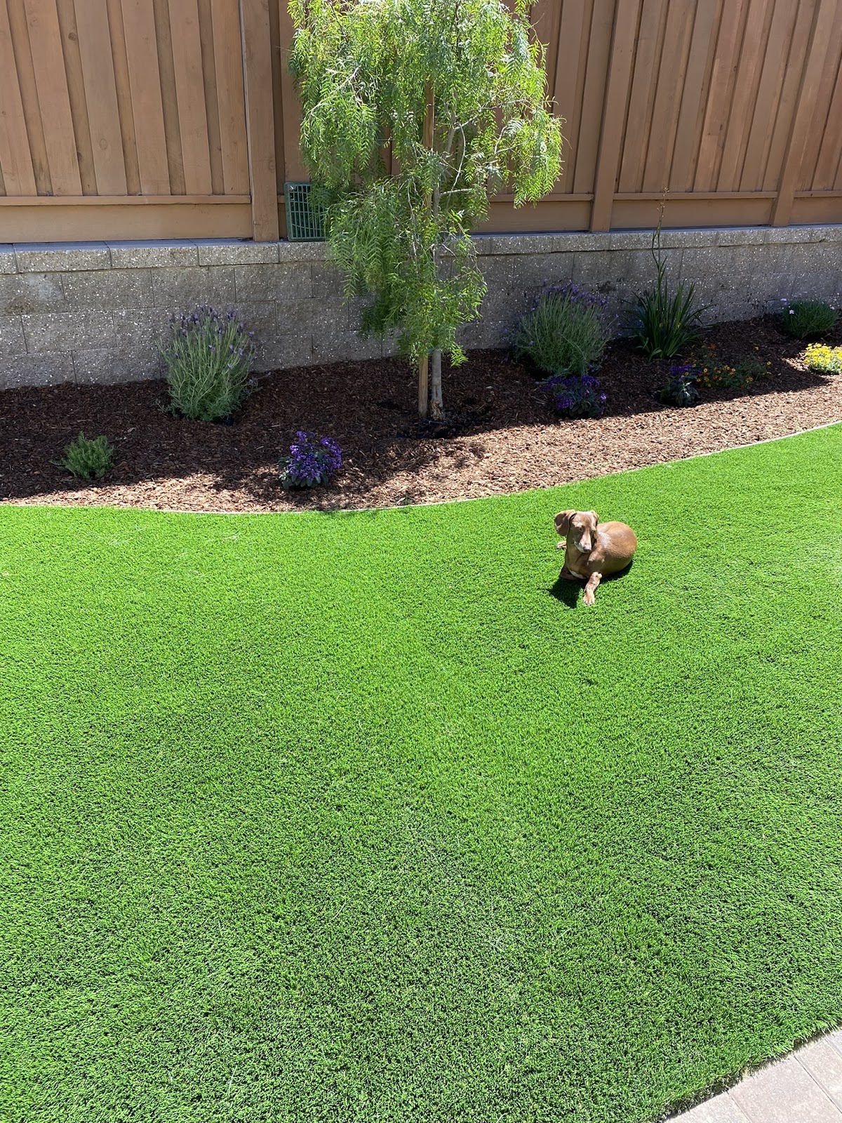 Morning Scoops LLC - Photo 3