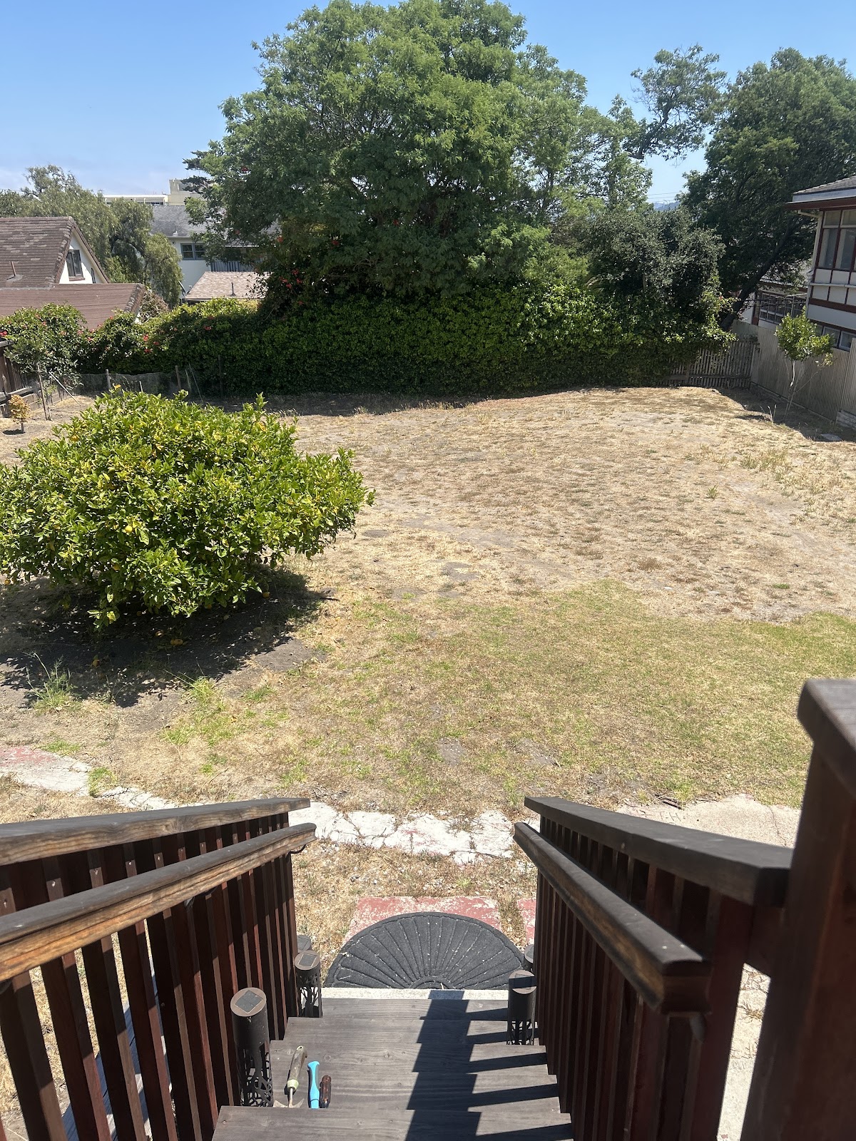 Morning Scoops LLC - Photo 4