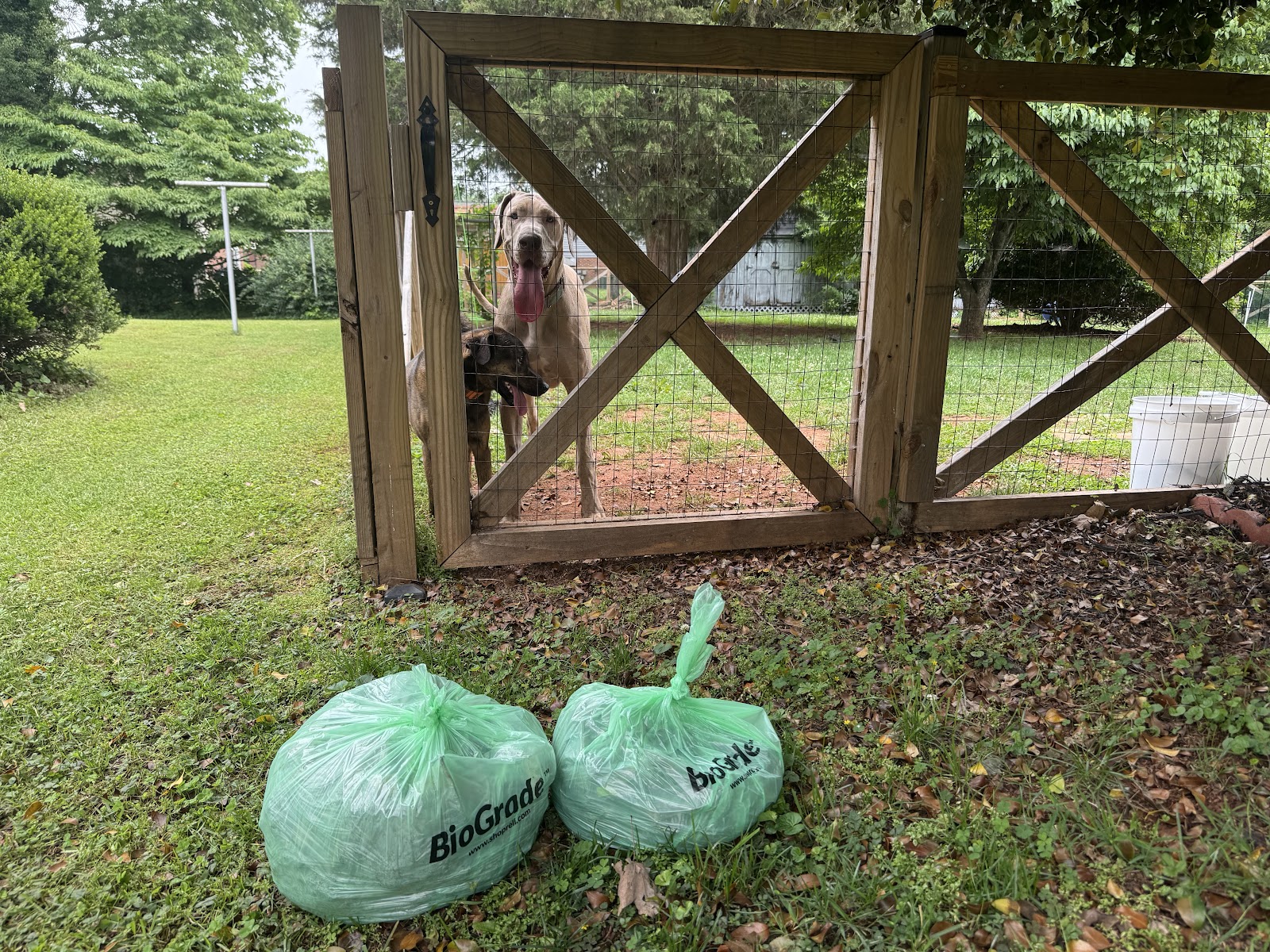 Piedmont Pet Waste Removal