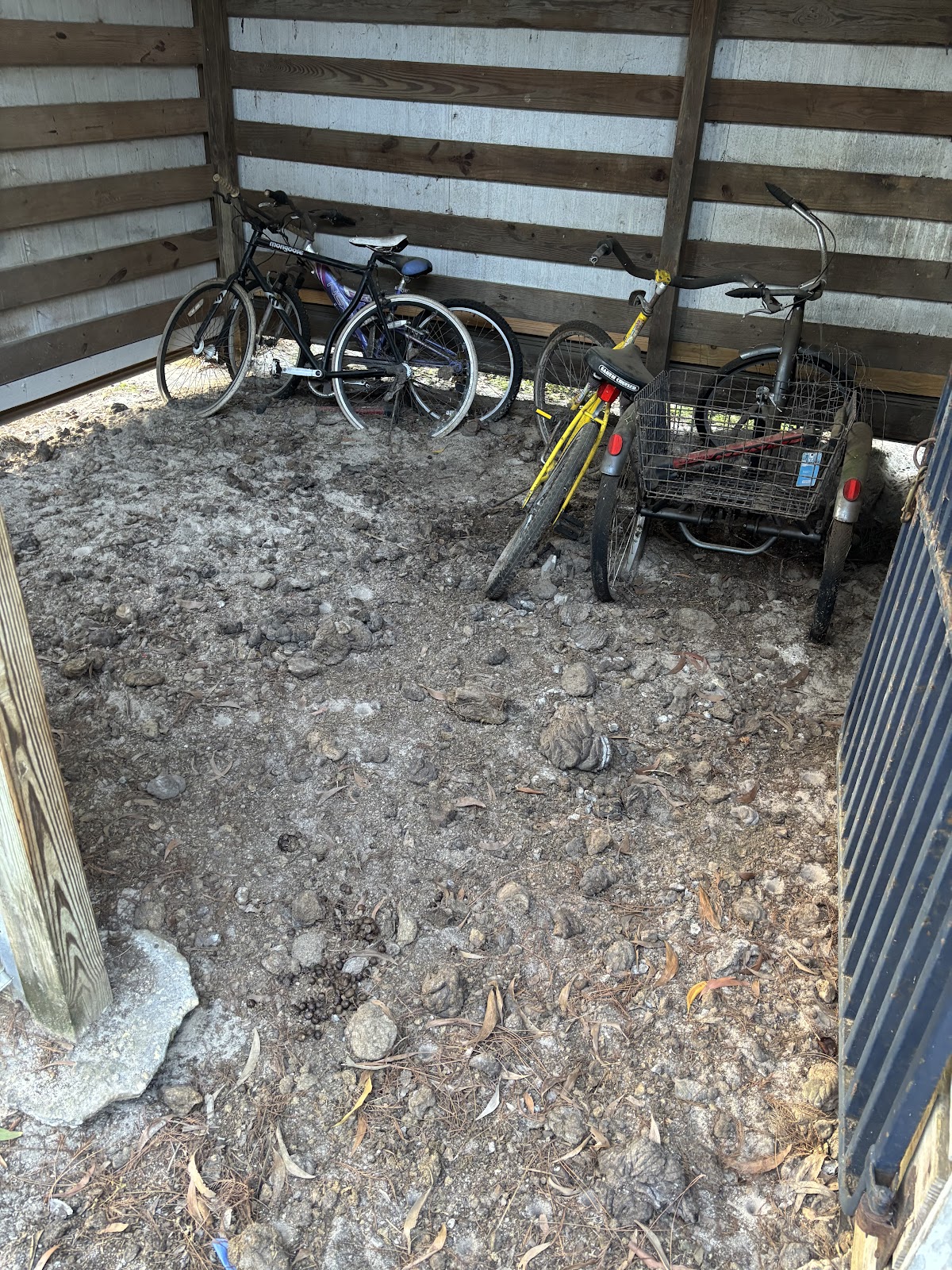 The Poop Scoop Gang - Photo 3