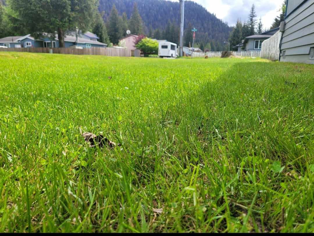 Juneau Poop Scoop LLC - Photo 2