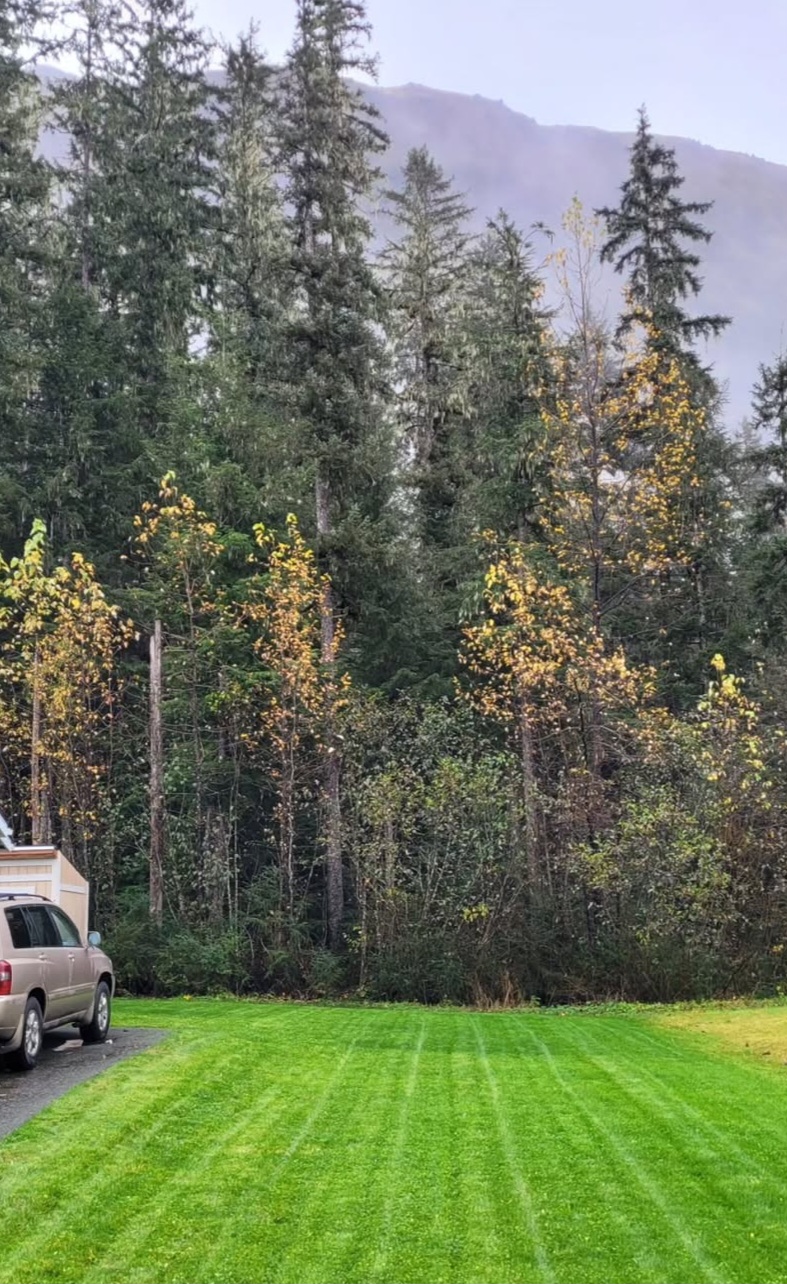 Juneau Poop Scoop LLC - Photo 3