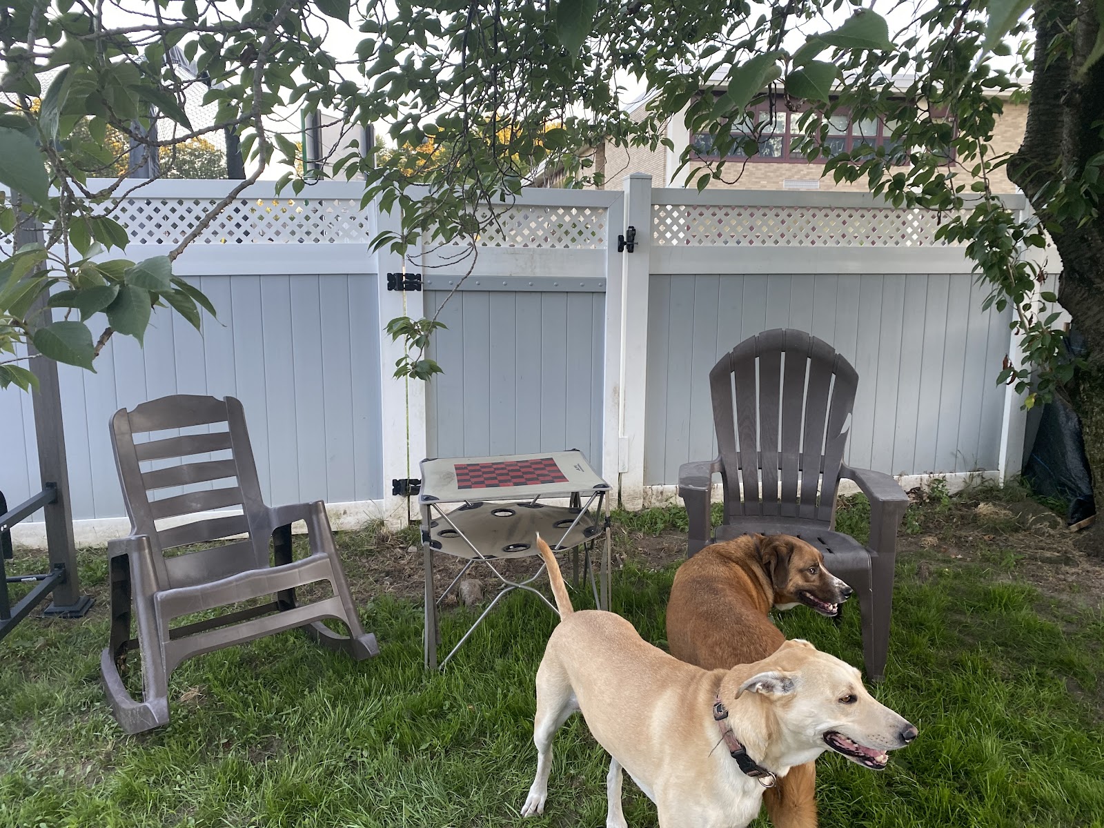 Poop Scoop Guys - Photo 4